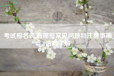 考试报名表,有哪些常见问题和注意事项值得了解