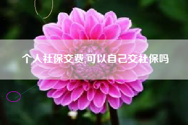 个人社保交费,可以自己交社保吗