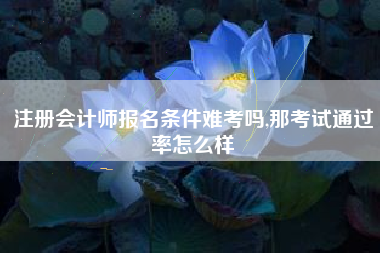 注册会计师报名条件难考吗,那考试通过率怎么样