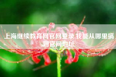 上海继续教育网官网登录,我能从哪里搞到官网地址