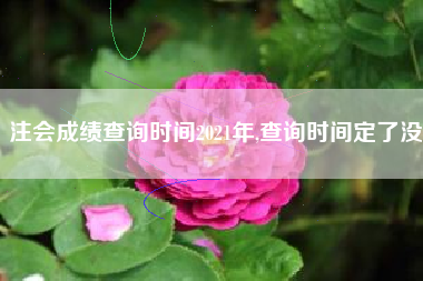 注会成绩查询时间2021年,查询时间定了没