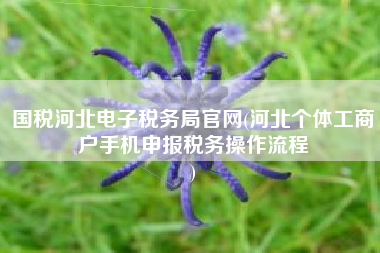 国税河北电子税务局官网(河北个体工商户手机申报税务操作流程
)