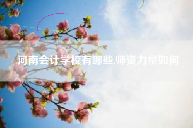 河南会计学校有哪些,师资力量如何