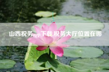 山西税务app下载,税务大厅位置在哪