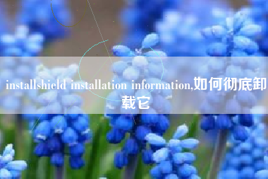 installshield installation information,如何彻底卸载它