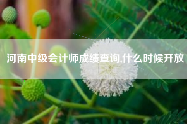 河南中级会计师成绩查询,什么时候开放