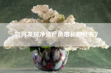 如何发现净资产负增长的征兆？