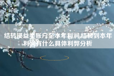 结转损益类账户至本年利润,结转到本年利润有什么具体利弊分析