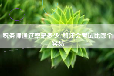 税务师通过率是多少, 和注会考试比哪个容易