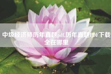 中级经济师历年真题pdf,历年真题PDF下载全在哪里