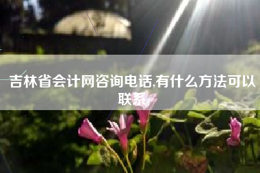 吉林省会计网咨询电话,有什么方法可以联系