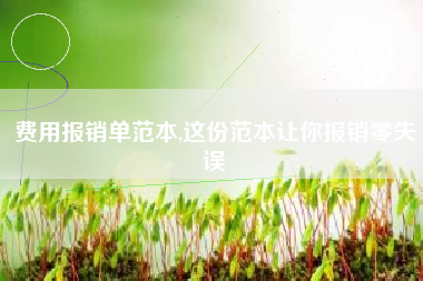 费用报销单范本,这份范本让你报销零失误