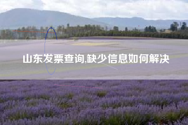 山东发票查询,缺少信息如何解决