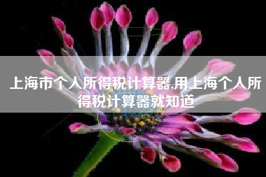 上海市个人所得税计算器,用上海个人所得税计算器就知道
