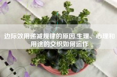 边际效用递减规律的原因,生理、心理和用途的交织如何运作