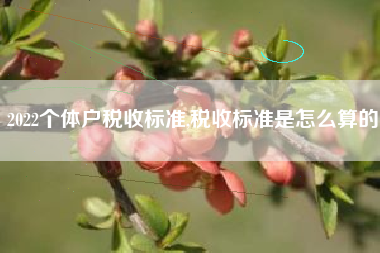 2022个体户税收标准,税收标准是怎么算的