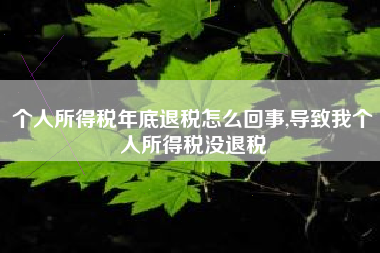 个人所得税年底退税怎么回事,导致我个人所得税没退税