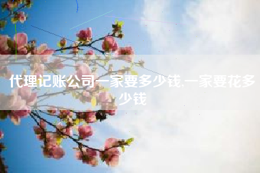 代理记账公司一家要多少钱,一家要花多少钱