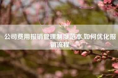 公司费用报销管理制度范本,如何优化报销流程