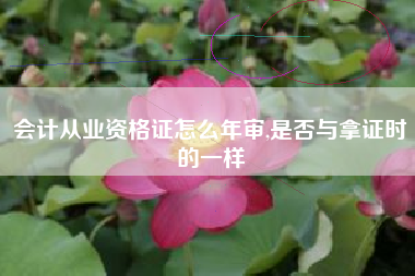 会计从业资格证怎么年审,是否与拿证时的一样