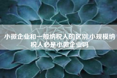 小微企业和一般纳税人的区别,小规模纳税人必是小微企业吗