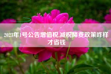 2023年1号公告增值税,减税降费政策咋样才省钱