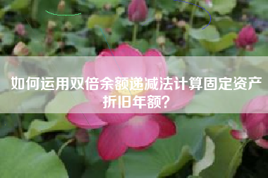 如何运用双倍余额递减法计算固定资产折旧年额？