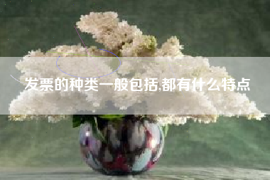 发票的种类一般包括,都有什么特点