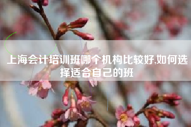 上海会计培训班哪个机构比较好,如何选择适合自己的班