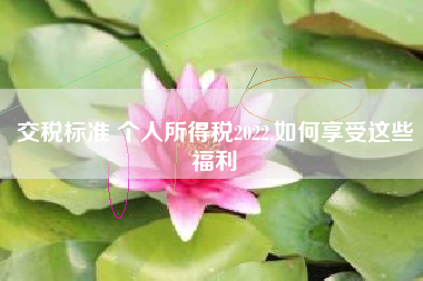 交税标准 个人所得税2022,如何享受这些福利