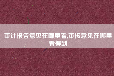 审计报告意见在哪里看,审核意见在哪里看得到