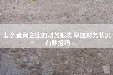 怎么查询企业的财务报表,掌握财务状况有妙招吗