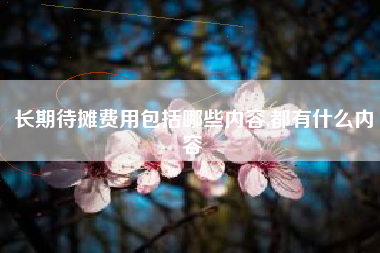 长期待摊费用包括哪些内容,都有什么内容