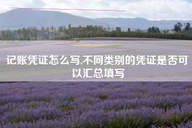 记账凭证怎么写,不同类别的凭证是否可以汇总填写