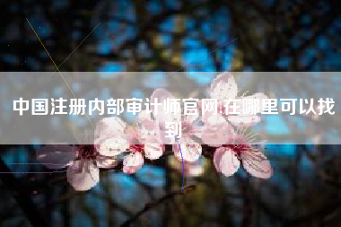 中国注册内部审计师官网,在哪里可以找到