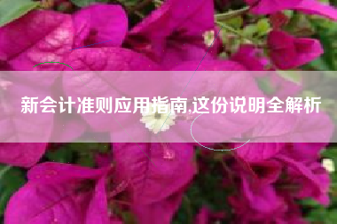 新会计准则应用指南,这份说明全解析