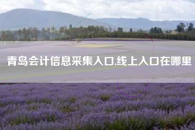 青岛会计信息采集入口,线上入口在哪里