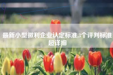 最新小型微利企业认定标准,3个评判标准超详细