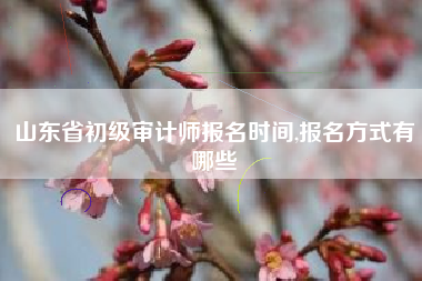 山东省初级审计师报名时间,报名方式有哪些