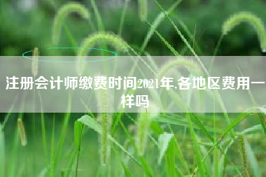 注册会计师缴费时间2021年,各地区费用一样吗