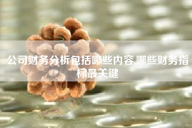公司财务分析包括哪些内容,哪些财务指标最关键