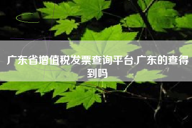 详细阅读:广东省增值税发票查询平台,广东的查得到吗 广东省增值税发票查询平台,广东的查得到吗