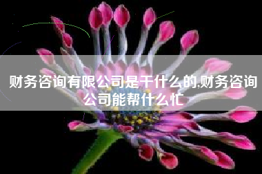 详细阅读:财务咨询有限公司是干什么的,财务咨询公司能帮什么忙 财务咨询有限公司是干什么的,财务咨询公司能帮什么忙