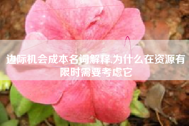 详细阅读:边际机会成本名词解释,为什么在资源有限时需要考虑它 边际机会成本名词解释,为什么在资源有限时需要考虑它