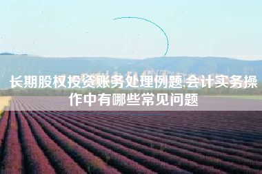 长期股权投资账务处理例题,会计实务操作中有哪些常见问题