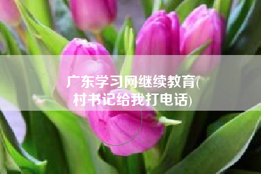 广东学习网继续教育(
村书记给我打电话)