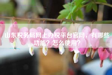 山东税务局网上办税平台官网，有哪些功能？怎么使用？