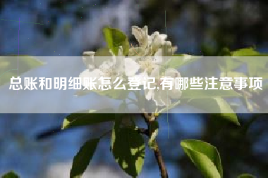 总账和明细账怎么登记,有哪些注意事项