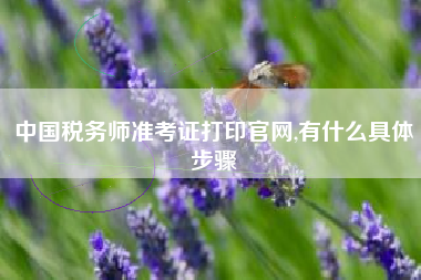 中国税务师准考证打印官网,有什么具体步骤