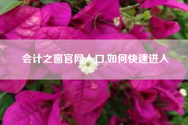 会计之窗官网入口,如何快速进入